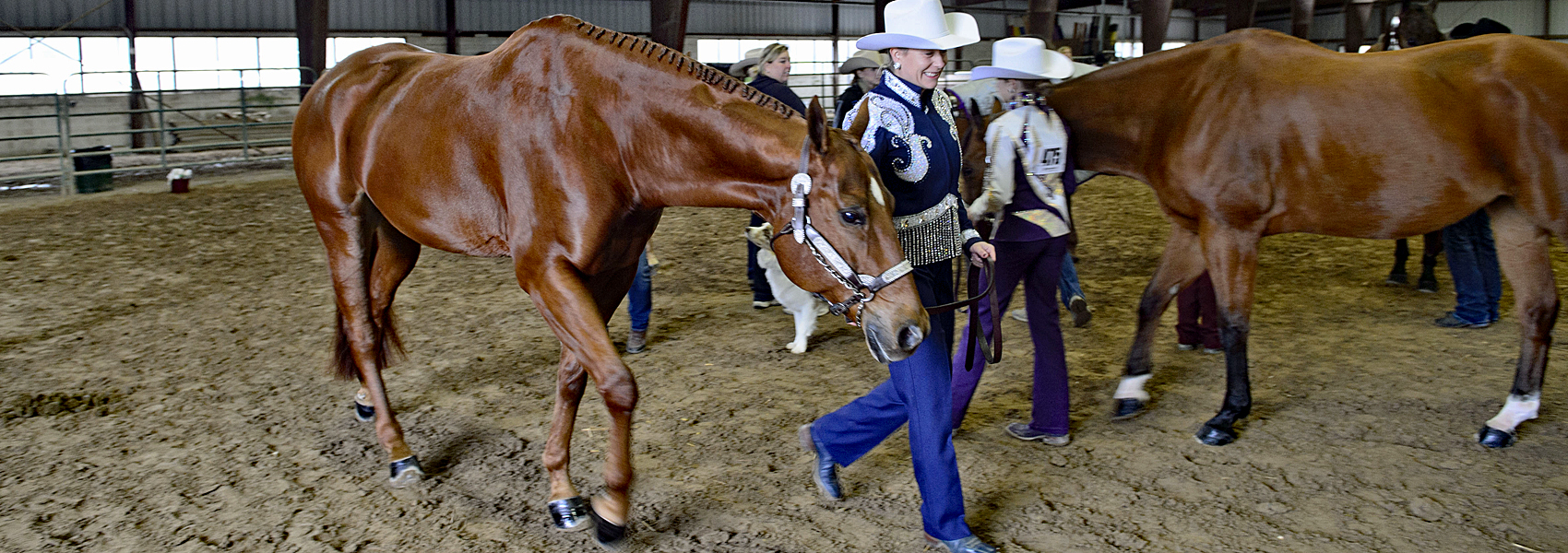 Equestrian Park Authority